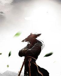 我为末世净秽土